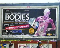/fotos/radar/20071125/notas_r/bodies.jpg
